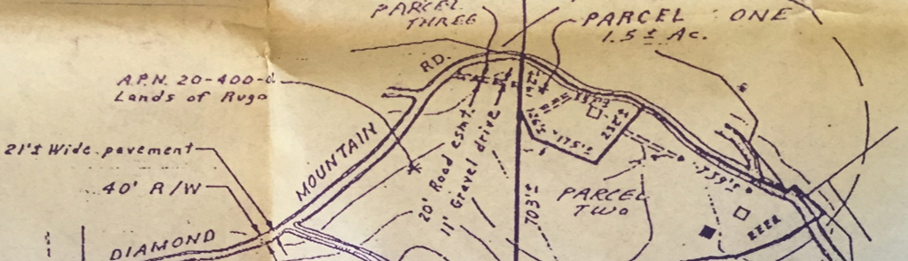 welcome to Butterfly House